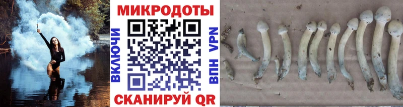 Псилоцибиновые грибы мухоморы  hydra как войти  Гаврилов-Ям  где найти  